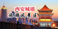 巨屌老外中国大陆操了十几个妹子中国陕西-西安城墙旅游风景区